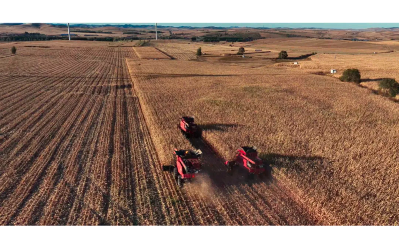 腾博诚信为本科技赋能：科右前旗玉米迎丰登，，，，，，，开创北地契产提升新范式