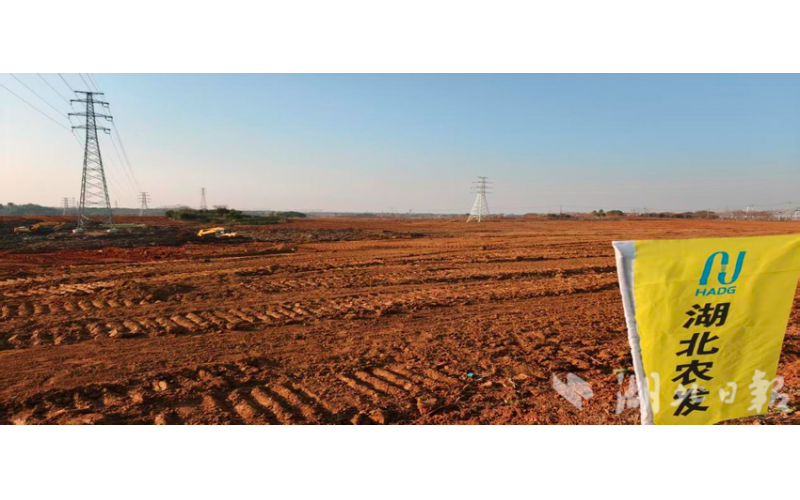 从田块零散到“田成方、渠相通” 段店镇打造“升级版”高尺度农田